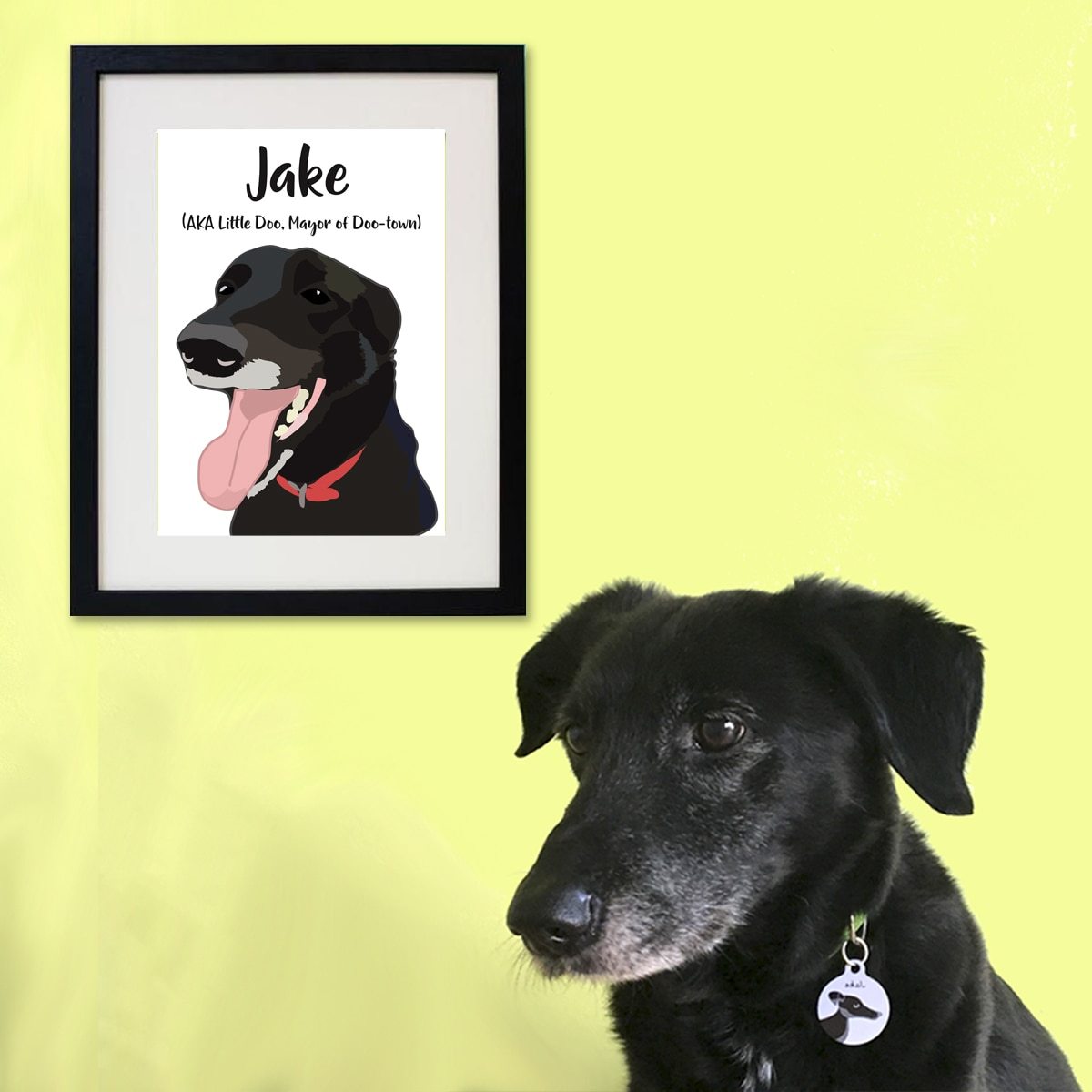 Custom Contemporary Pet Portrait  - Hoobynoo - Personalised Pet Tags and Gifts