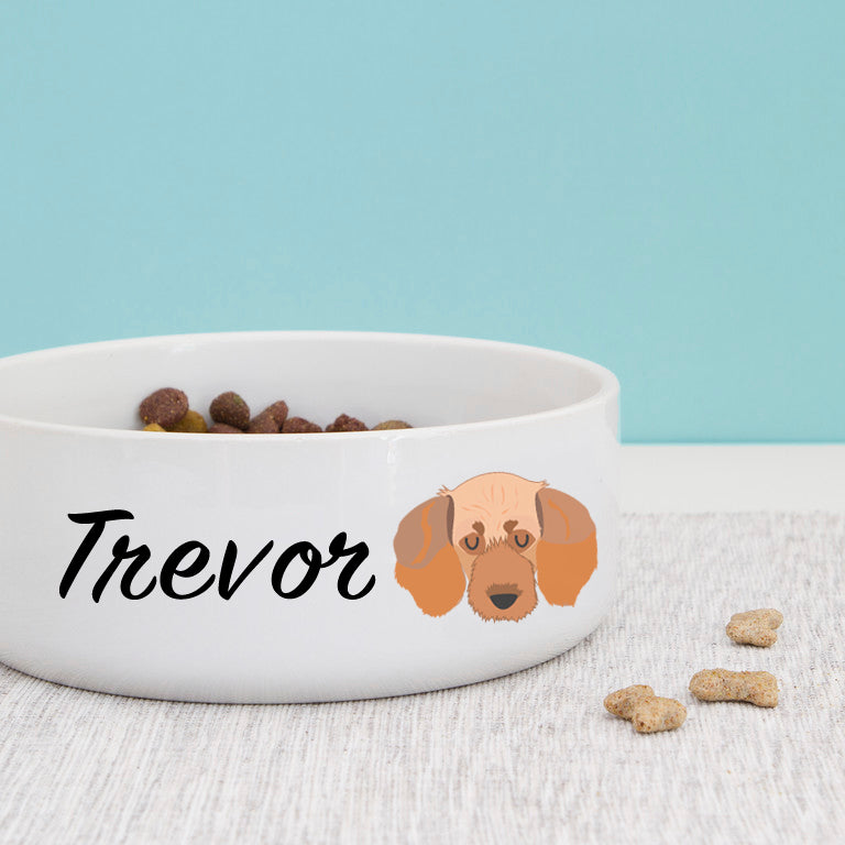 Basset Fauve de Bretagne Dog Personalised Bold Ceramic Dog Bowl  - Hoobynoo - Personalised Pet Tags and Gifts
