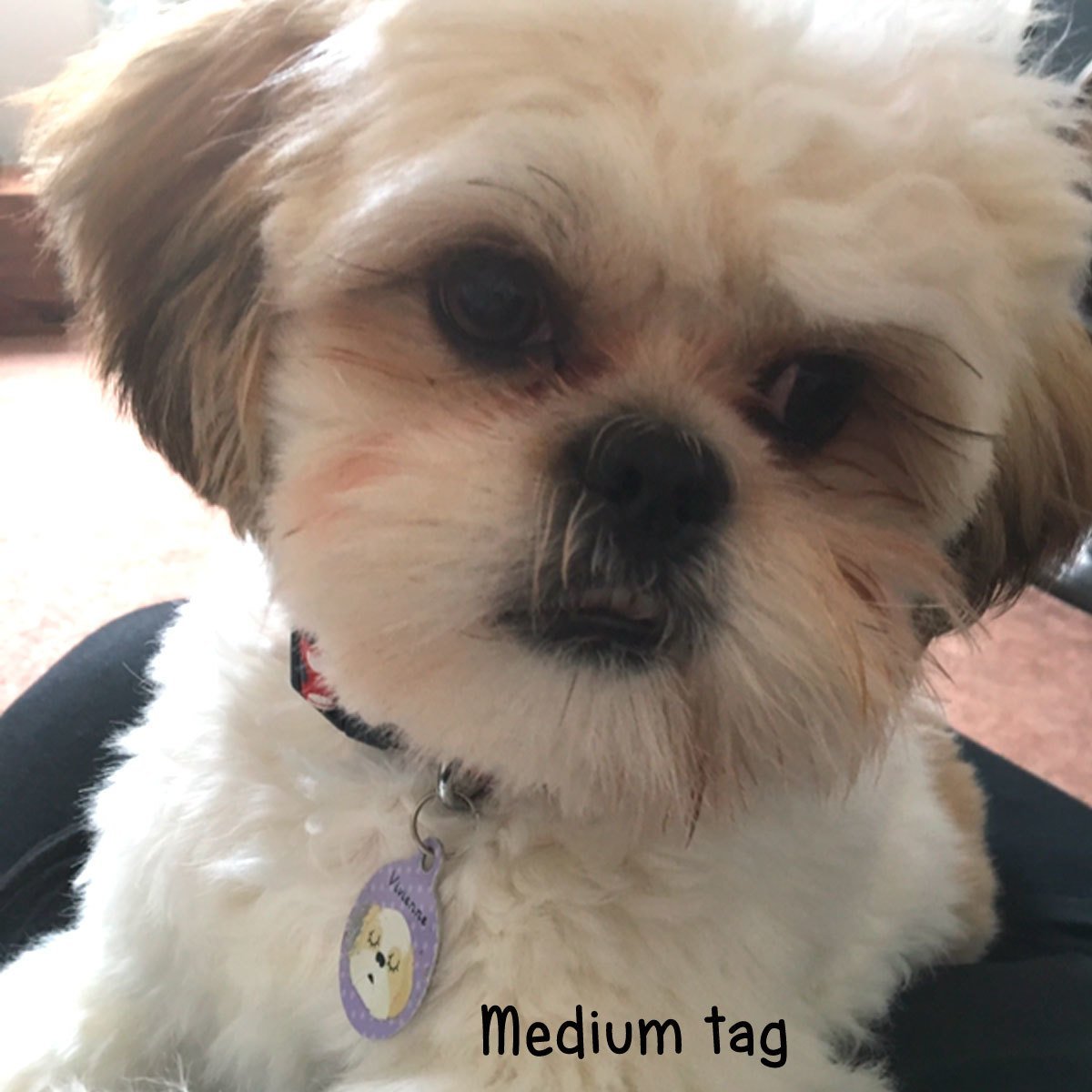Shih Tzu Personalised Pet Id Tag  - Hoobynoo - Personalised Pet Tags and Gifts