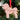 Dog Christmas Tree Decoration Bichon Frise Solid Wood Ornament