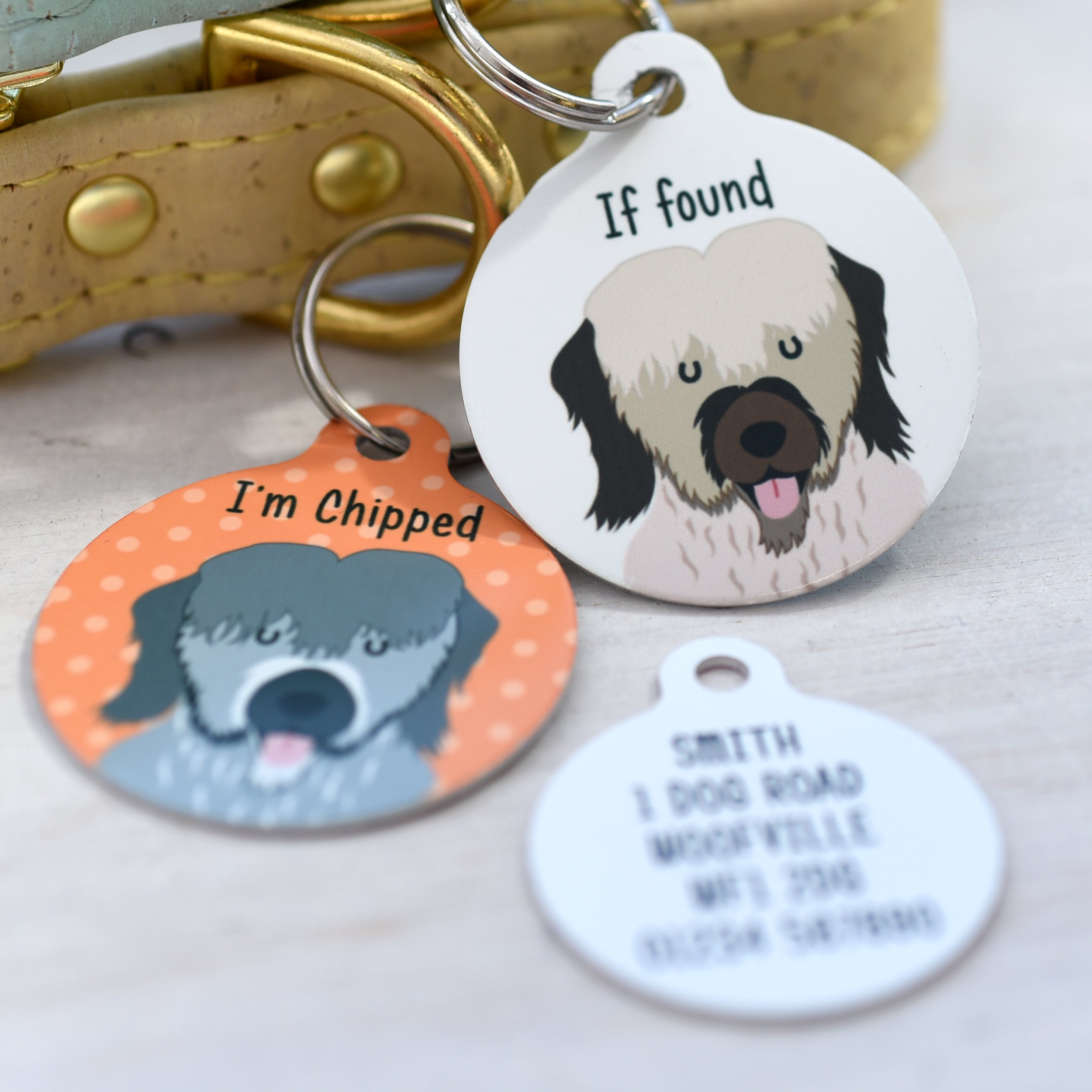 Road id for dogs 2025