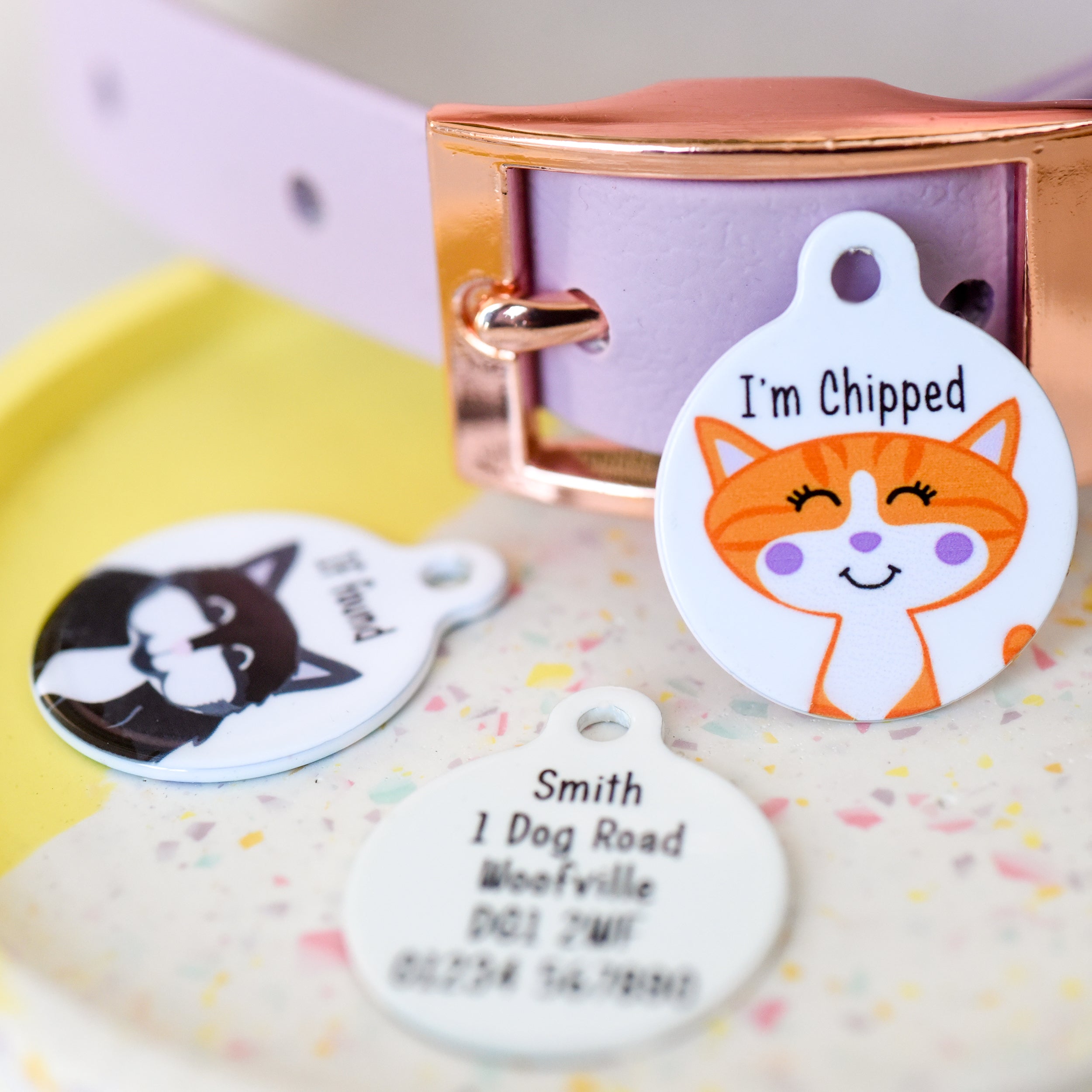 Cat Kitten Personalised pet tag Hoobynoo Waterproof