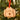 Wooden Cockapoo Labradoodle Bichon Christmas Dog Decoration Ornament