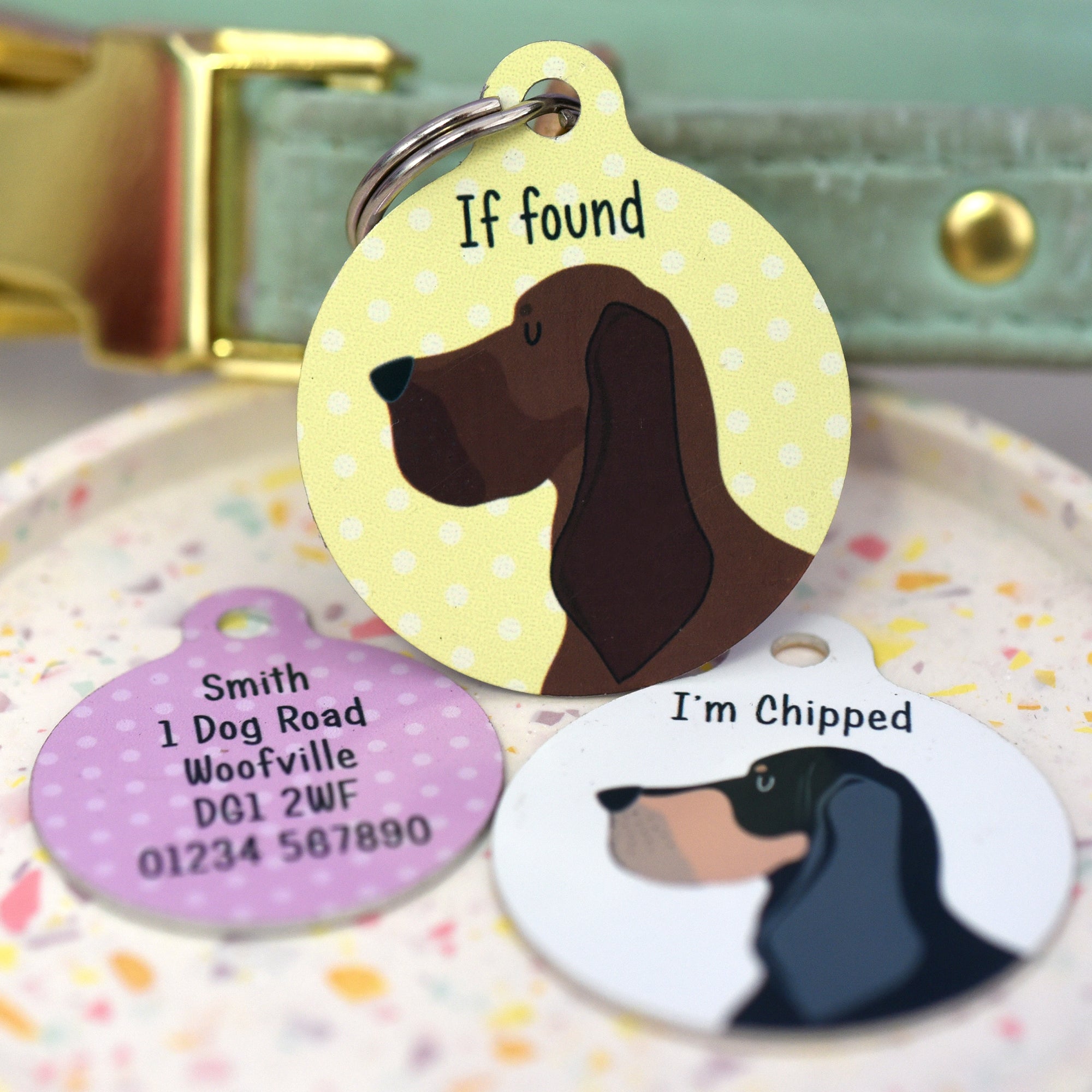 Coonhound Personalised Dog ID Tag