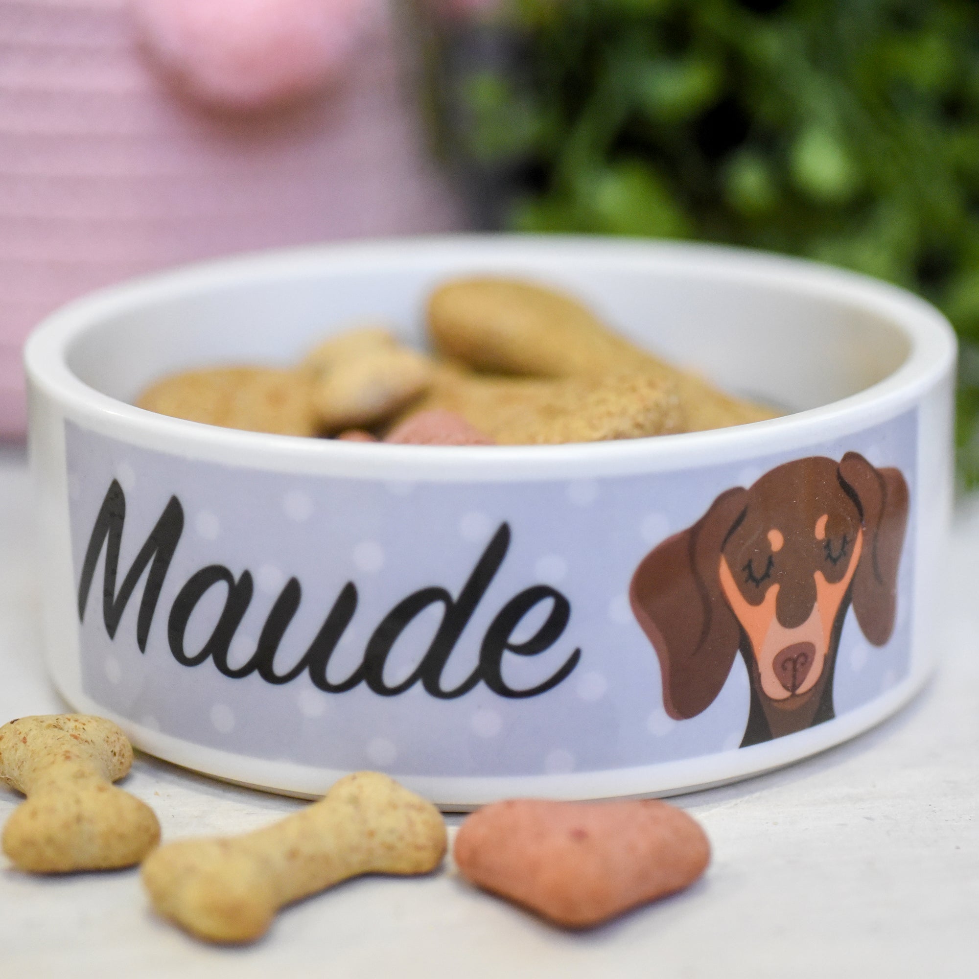 Dachshund Dog Personalised Ceramic Dog Bowl