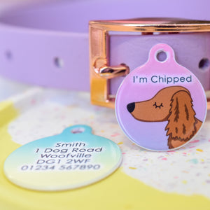 Personalised Dachshund Dog Tag - Ombre