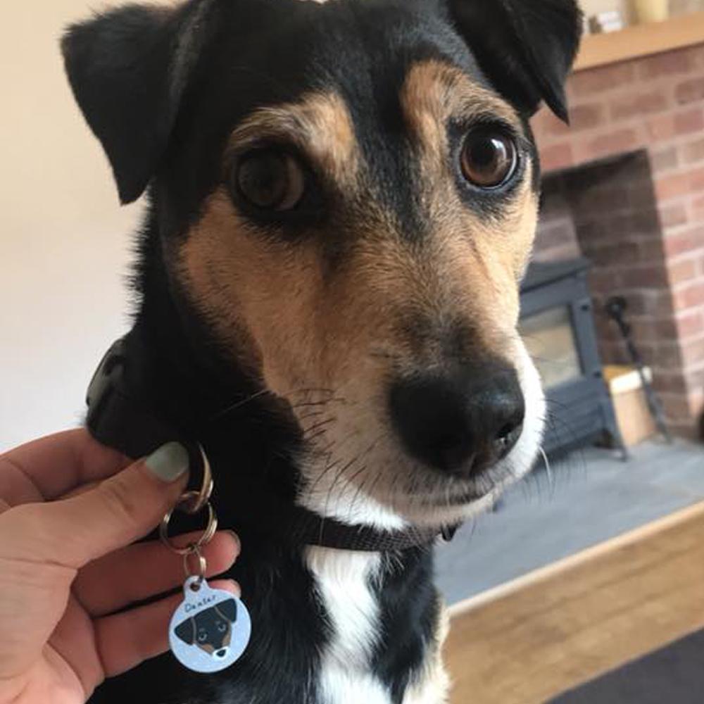 Jack Russell Personalised Dog ID Tag  - Hoobynoo - Personalised Pet Tags and Gifts