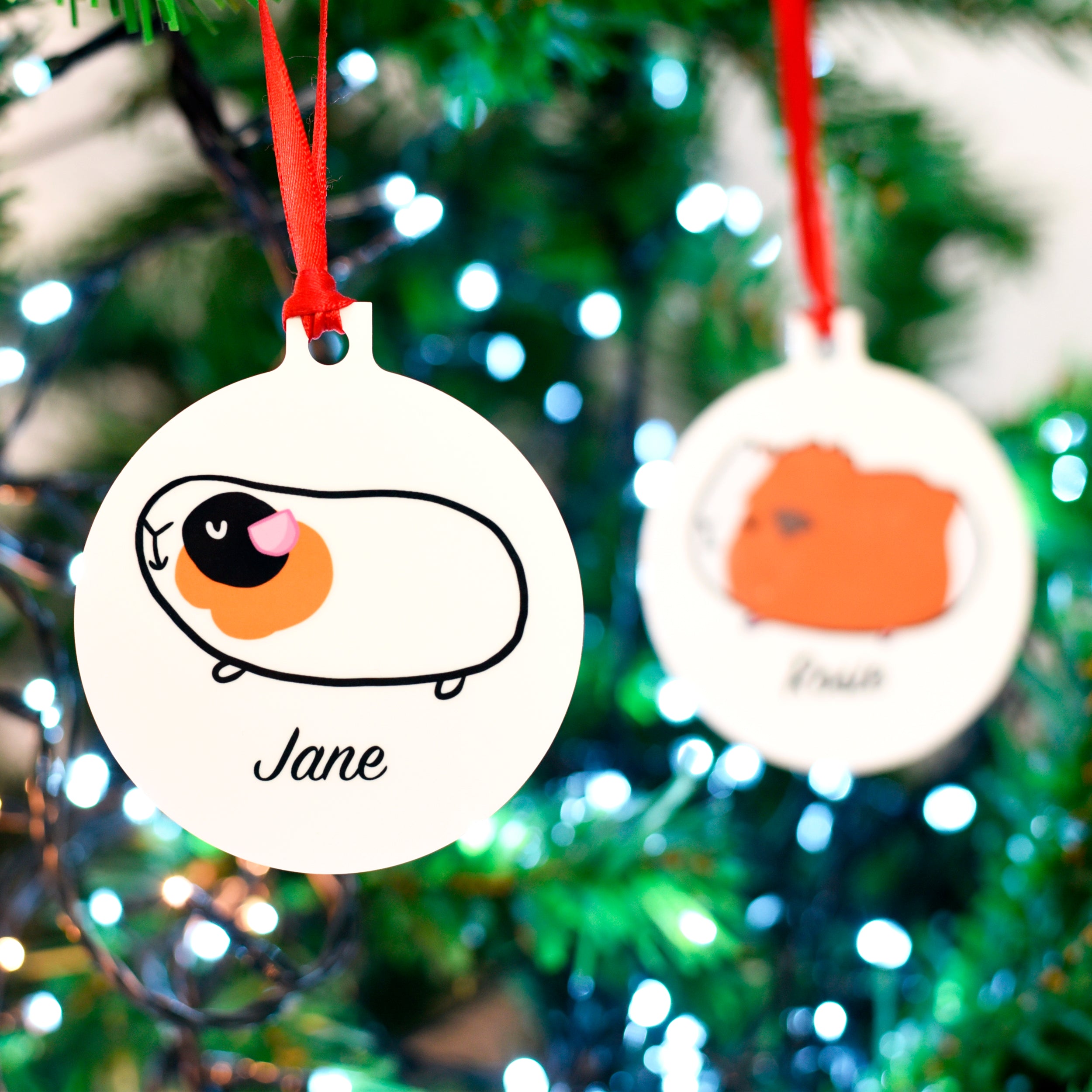 Guinea Pig Christmas Decoration – - Main Image