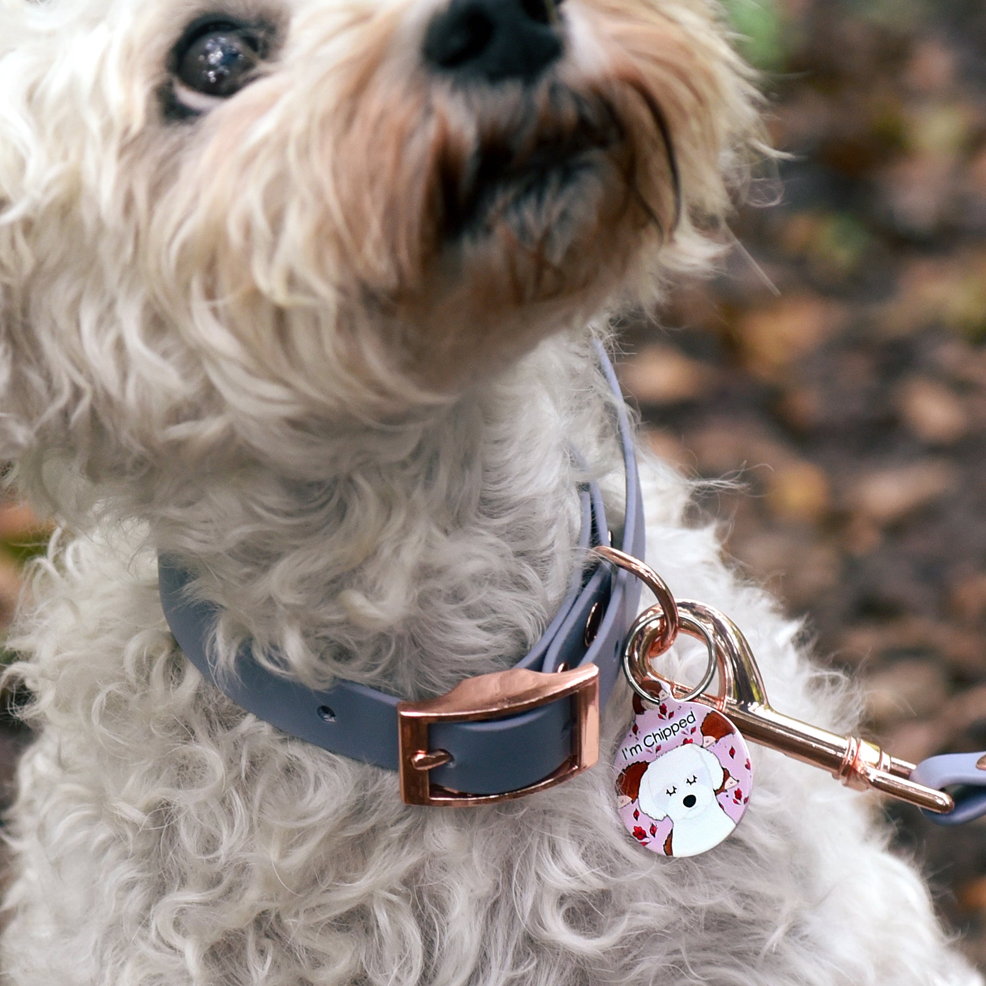 Dog Tag Personalised - Woodland Design