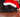 labradoodle wearing a christmas hat, dog dressed as santa paws, what christmas food can my pet eat and drink