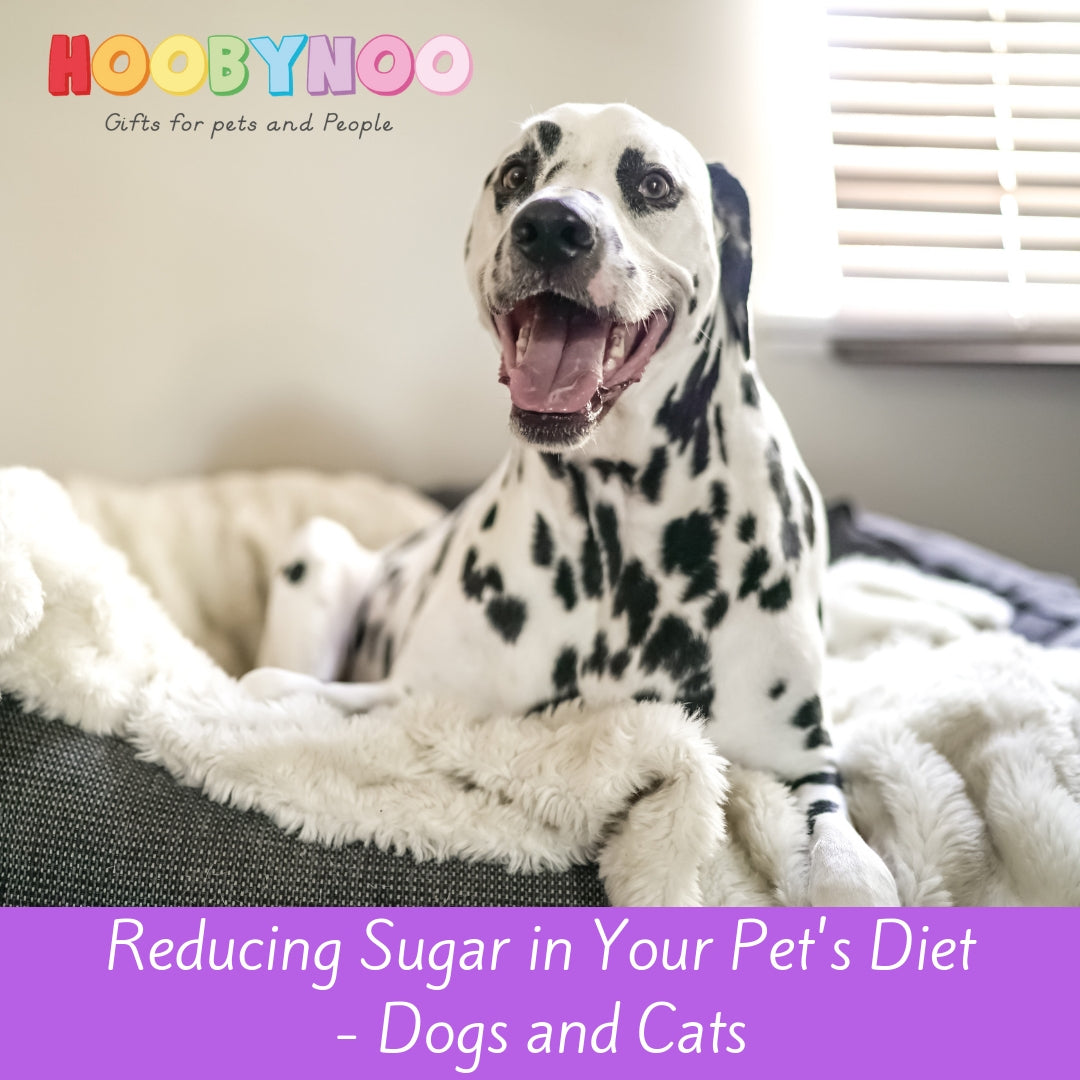 Health Benefits of Reducing Sugar in Your Pet's Diet