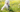 Holistic Pets, A Spiritual Dog Trainer Interview