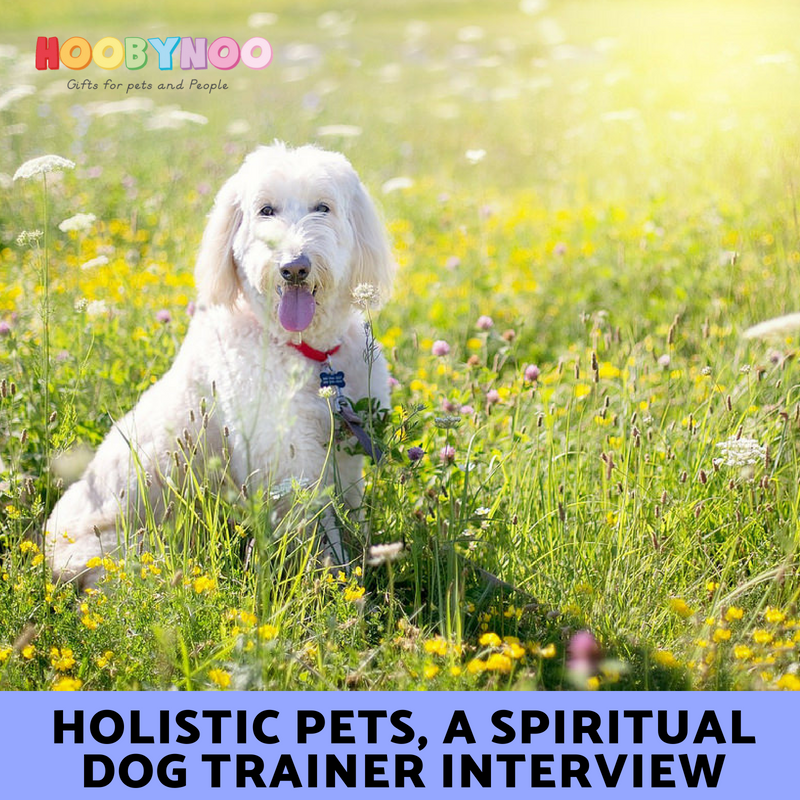 Holistic Pets, A Spiritual Dog Trainer Interview