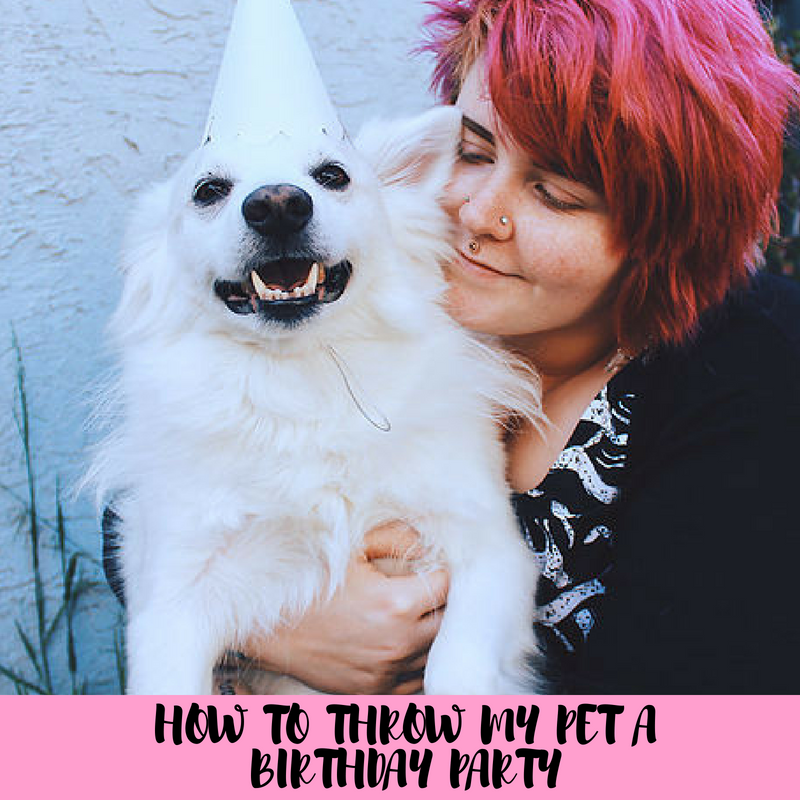 How to throw my Pet a Birthday Party: An interview with Pawesome Parties
