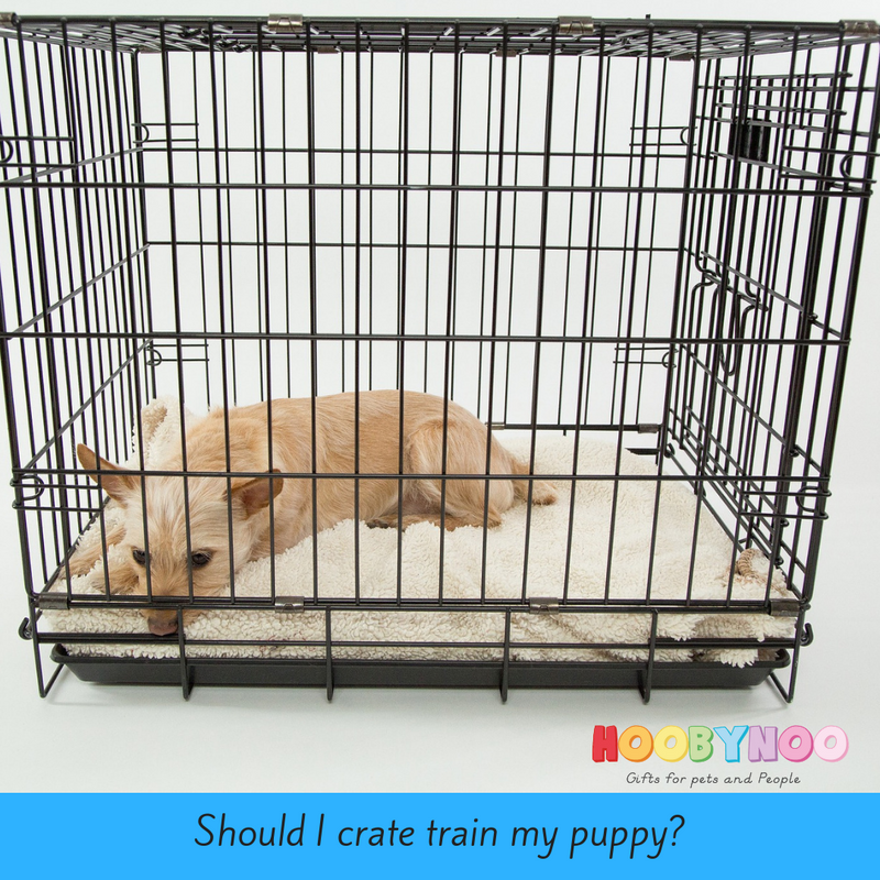 Should I Crate Train My Puppy? Hoobynoo.co.uk