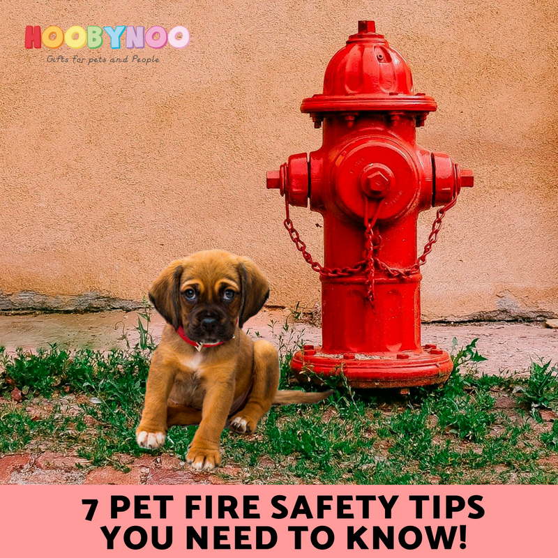7 Pet Fire Safety Tips You Need to Know!