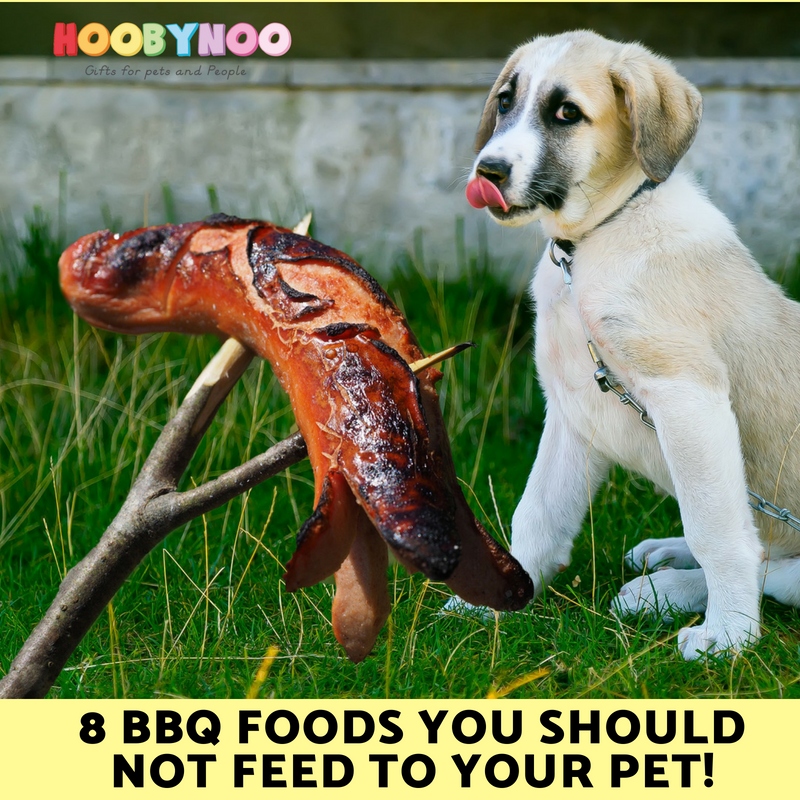 8 BBQ Foods you should NOT Feed to your Pet