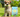 is gluten free food right for my dog? Dog sitting on grass next to Beco pet's food 