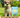 is gluten free food right for my dog? Dog sitting on grass next to Beco pet's food 