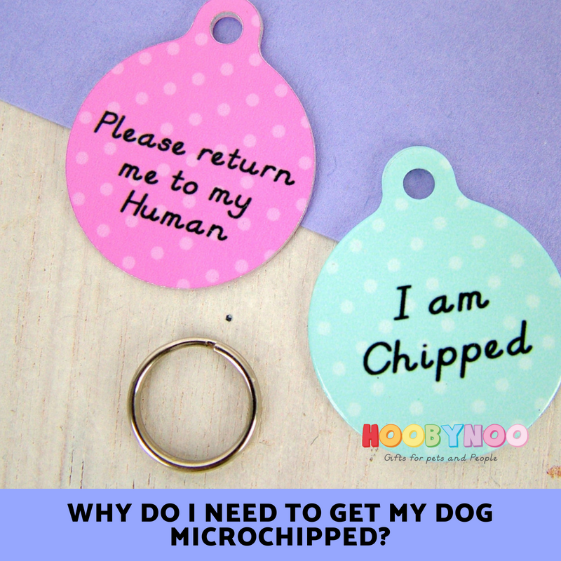 why do i need to get my dog microchipped. Pet tags by hoobynoo