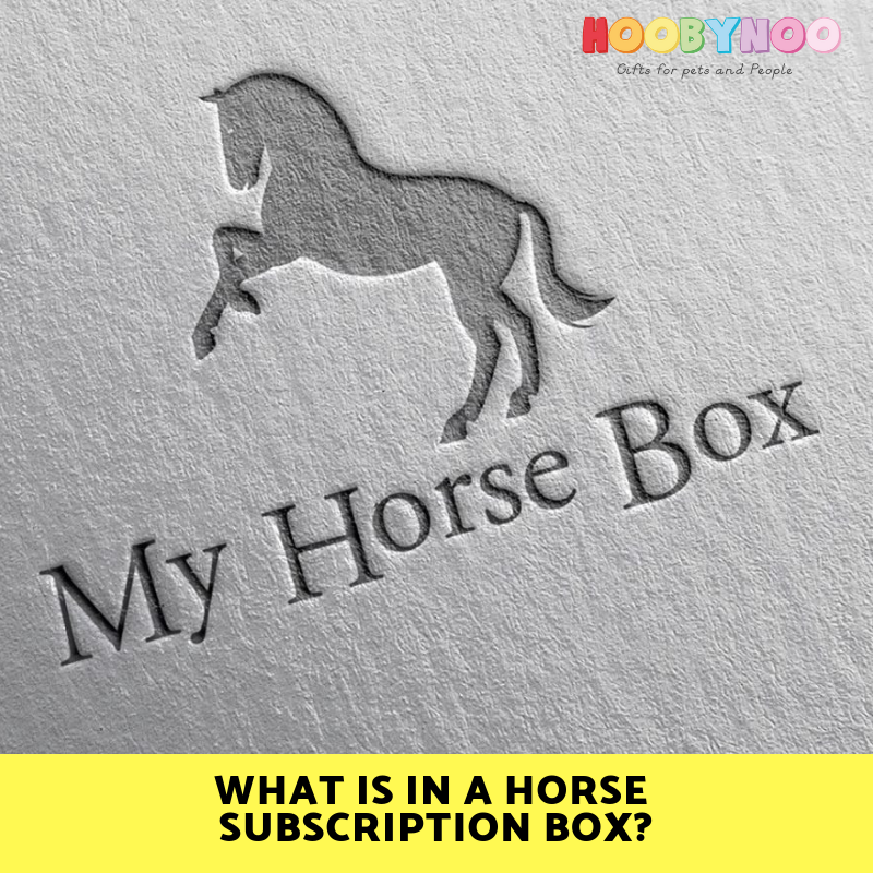 my horse box subscription 