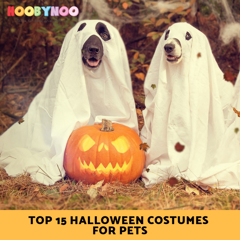 halloween costumes for pets, pet halloween costumes, where can i find halloween costumes for my pet 