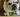 English Bulldog with an underbite. how do I know if my dog has an underbite? Will an underbite effect my dog. 