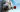 Does my Dog Love me? - Can dogs say 'I Love You'