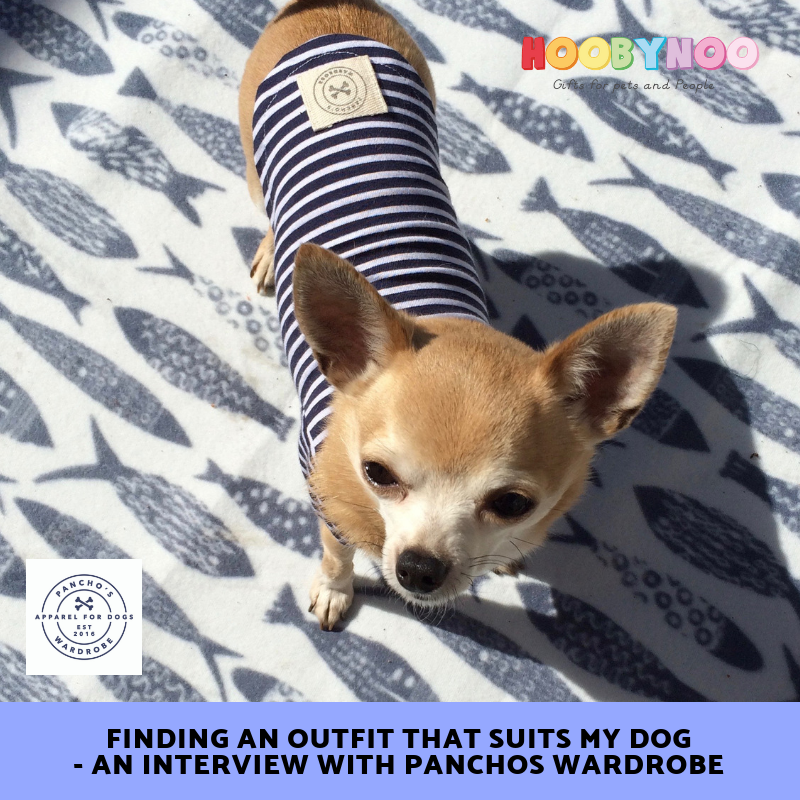 Chihuahua clothes for hot sale humans