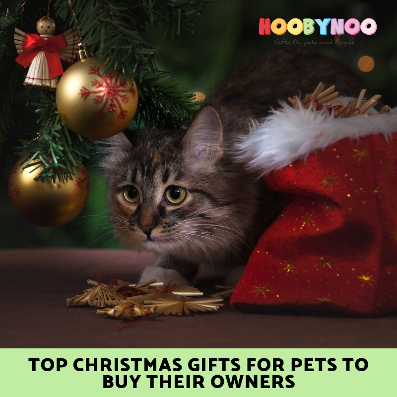Top Gifts for Pet Lovers from their Pets