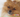 does your dog smile? why do dogs smile? Is a dog smiling a good thing?