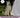 How can I include my Dog at our Wedding - an interview with Furry Tail Weddings UK