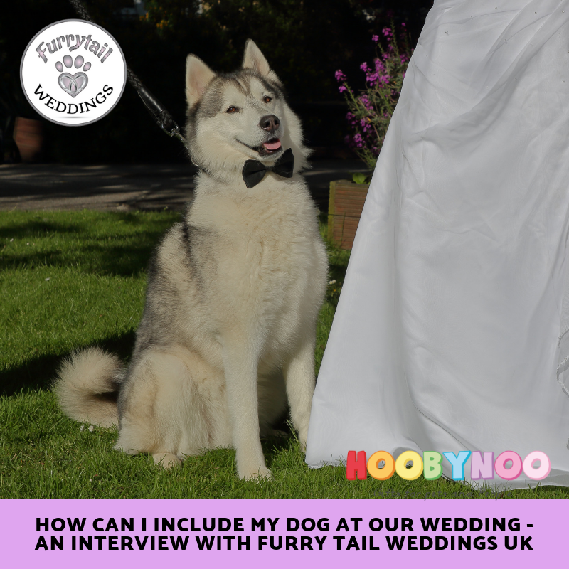 How can I include my Dog at our Wedding - an interview with Furry Tail Weddings UK