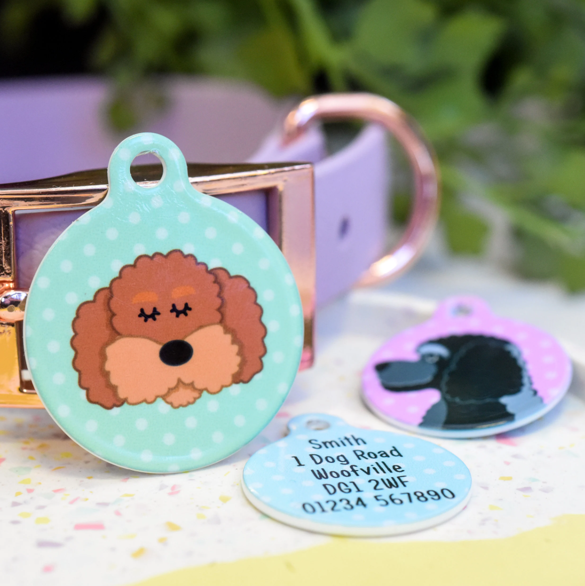 The Cockapoo - What's Not To Love? – Hoobynoo.co.uk