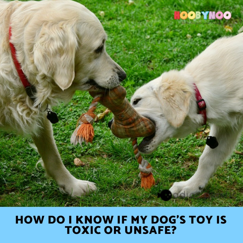 How do I know if my Dog's Toy is Toxic or Unsafe? Hoobynoo.co.uk