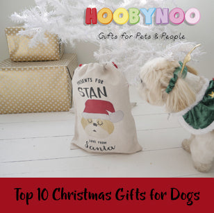 Top 10 Chrismtas Gifts for Dogs