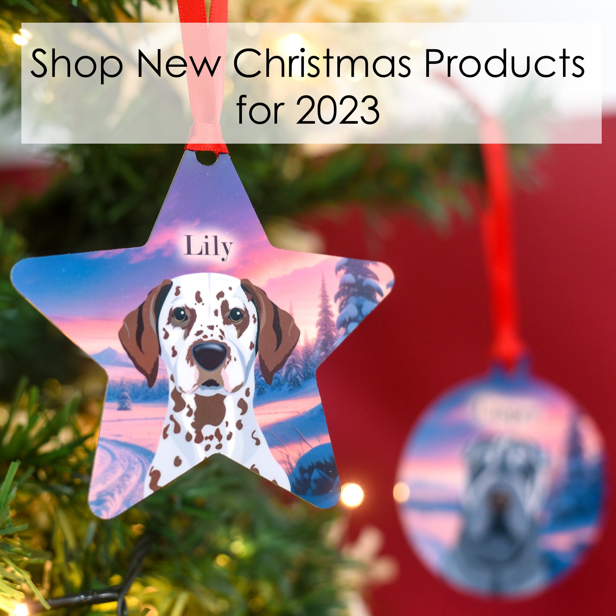 
    Shop New Christmas Products for 2023
  