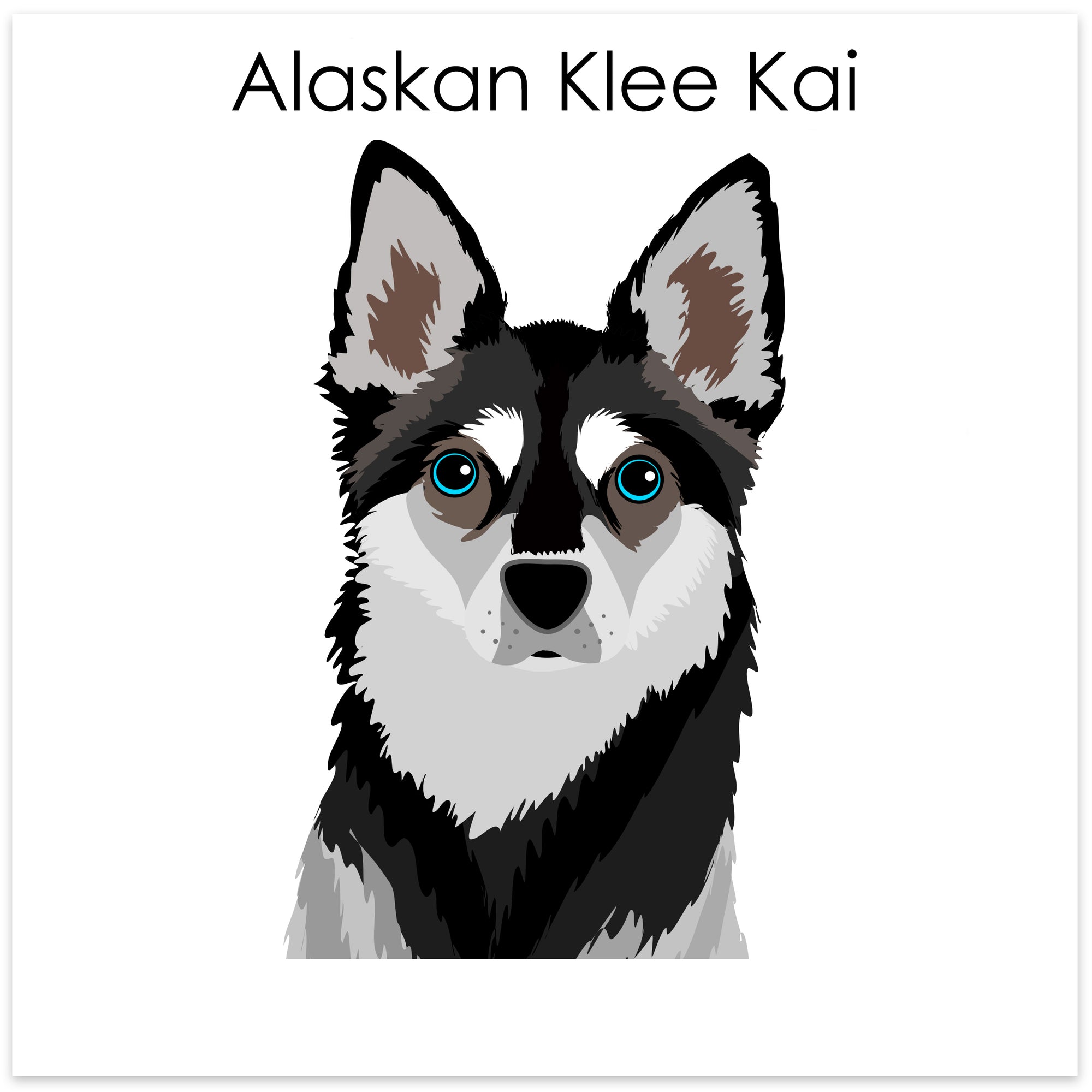 
    Alaskan Klee Kai
  
