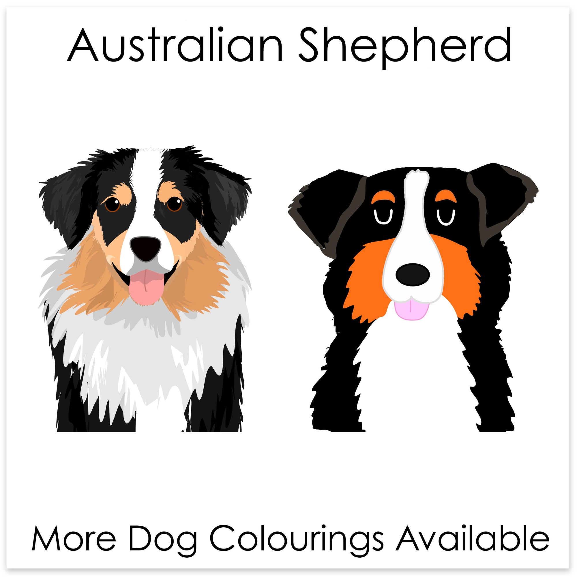 
    Australian Shepherd
  