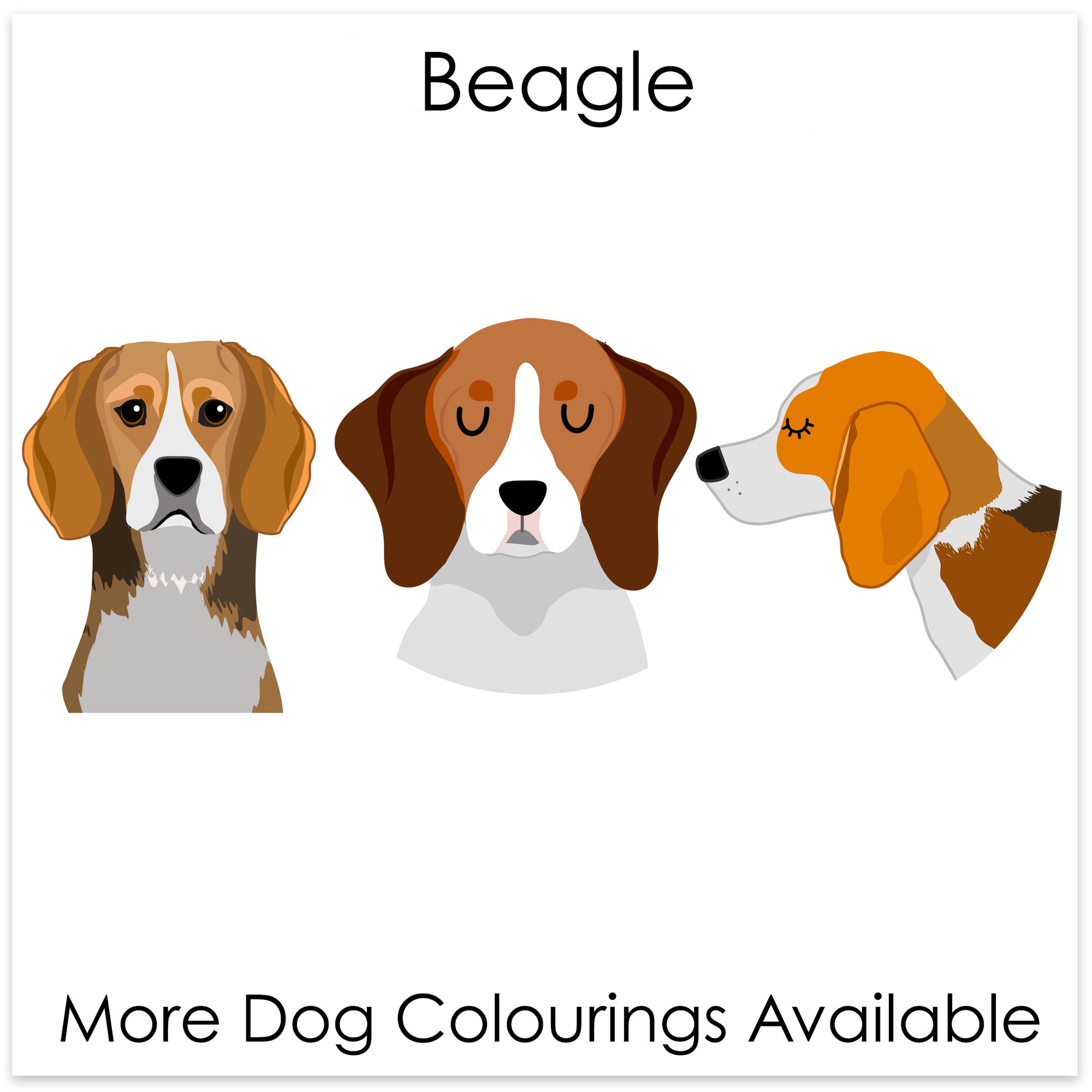
    Beagle
  