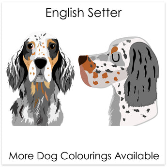 English Setter