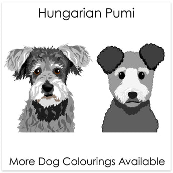 Hungarian Pumi