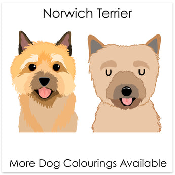 Norwich Terrier