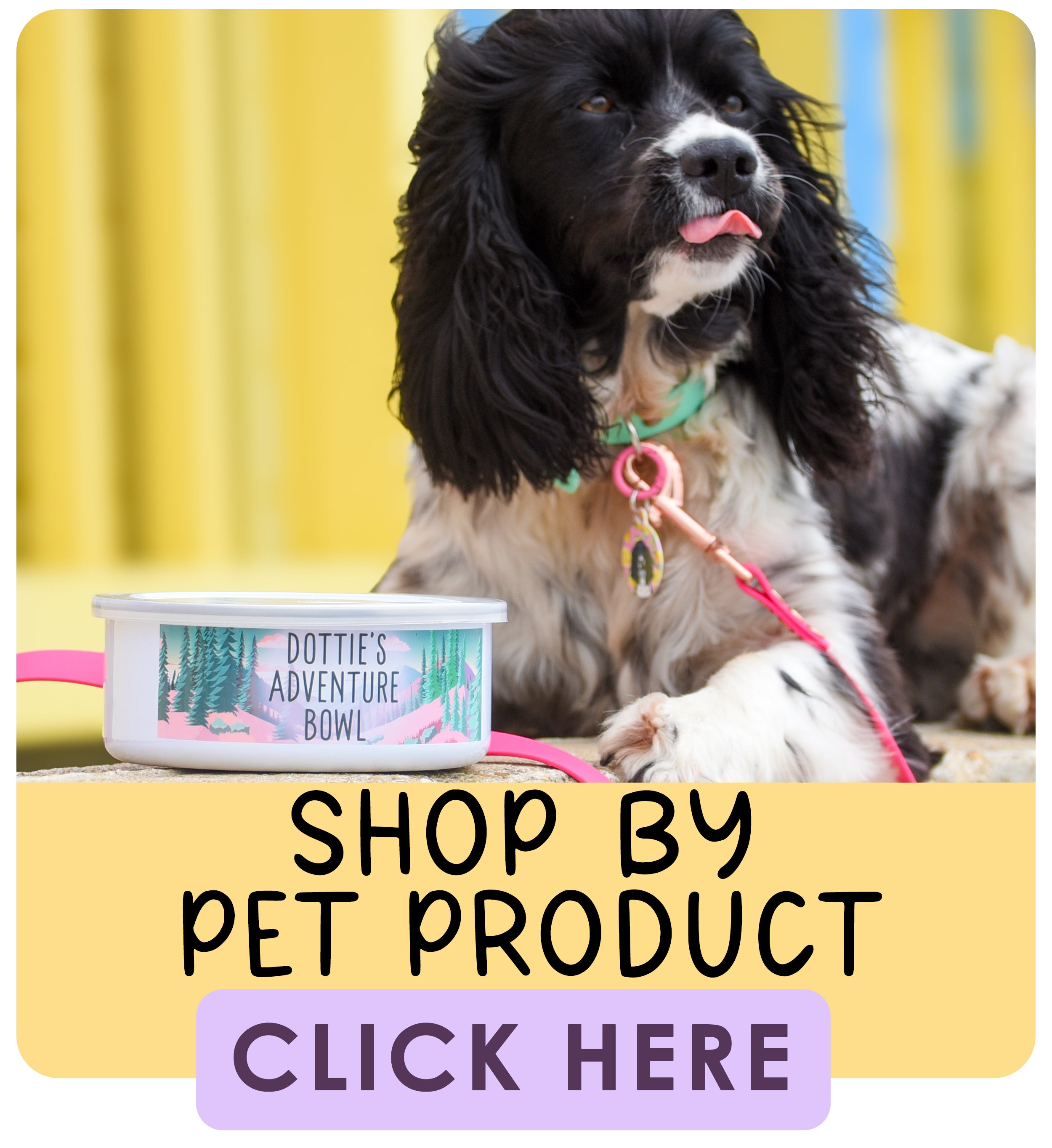 Shop by Pet Product