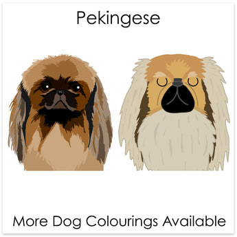 Pekingese