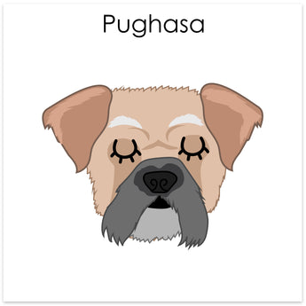 Pughasa