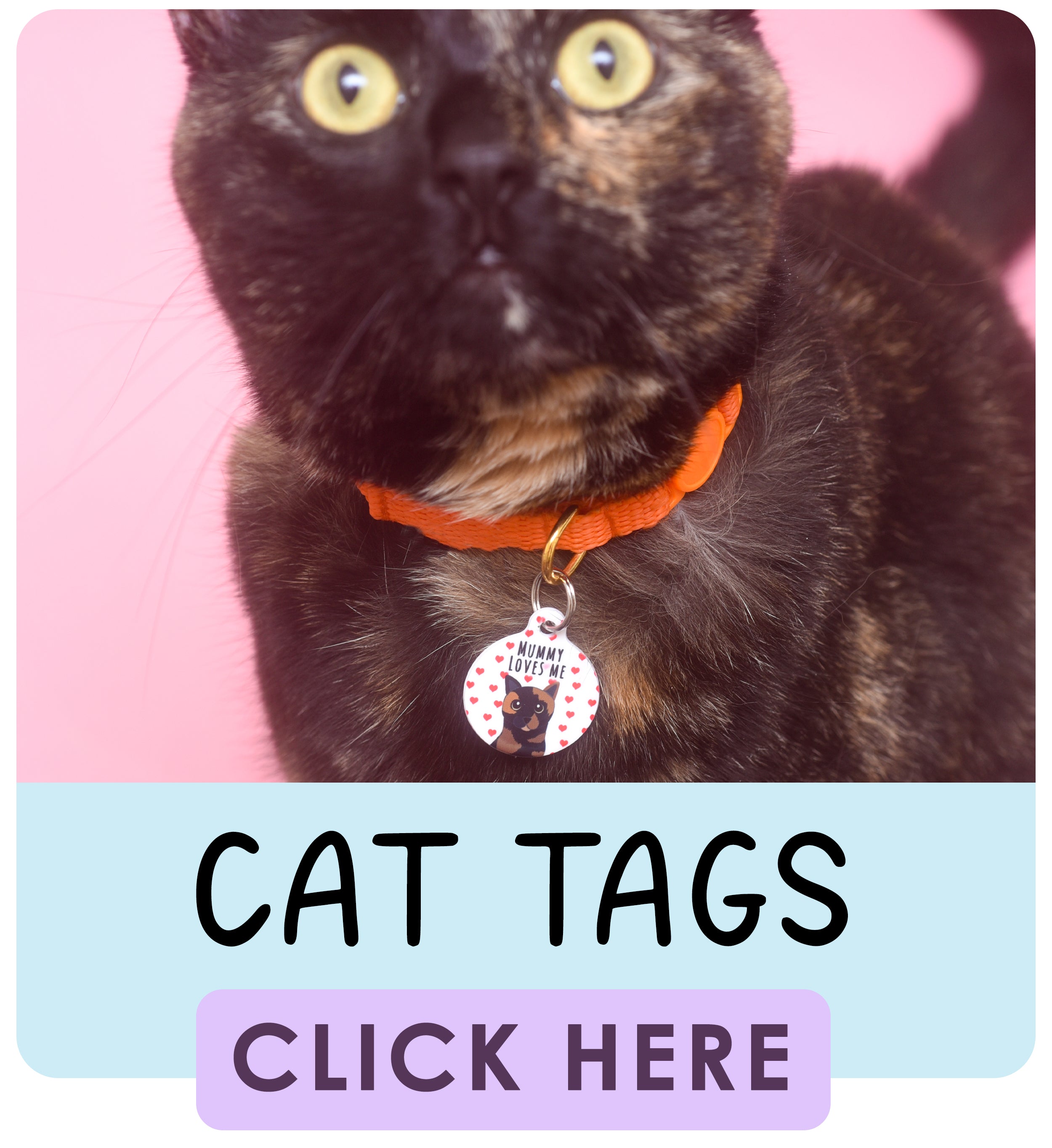 Cat Tags