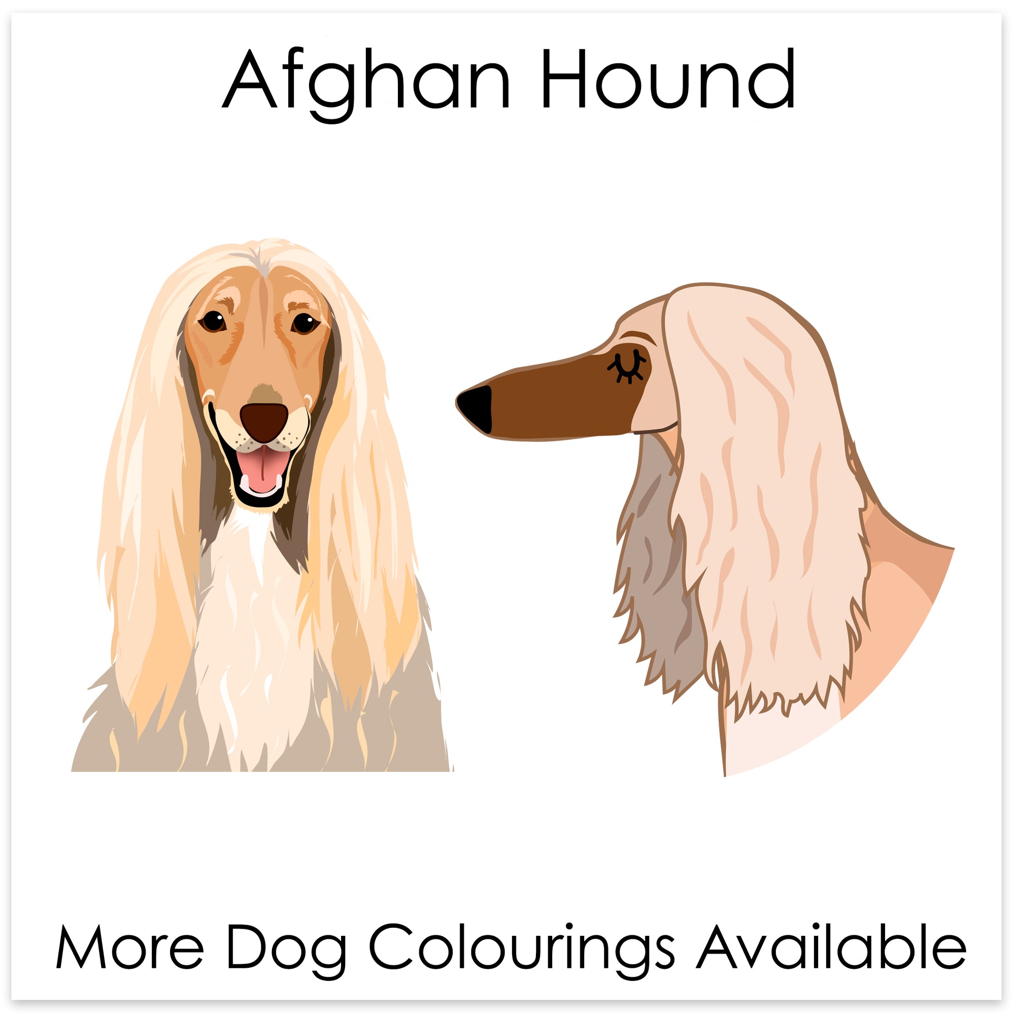 
    Afghan Hound
  