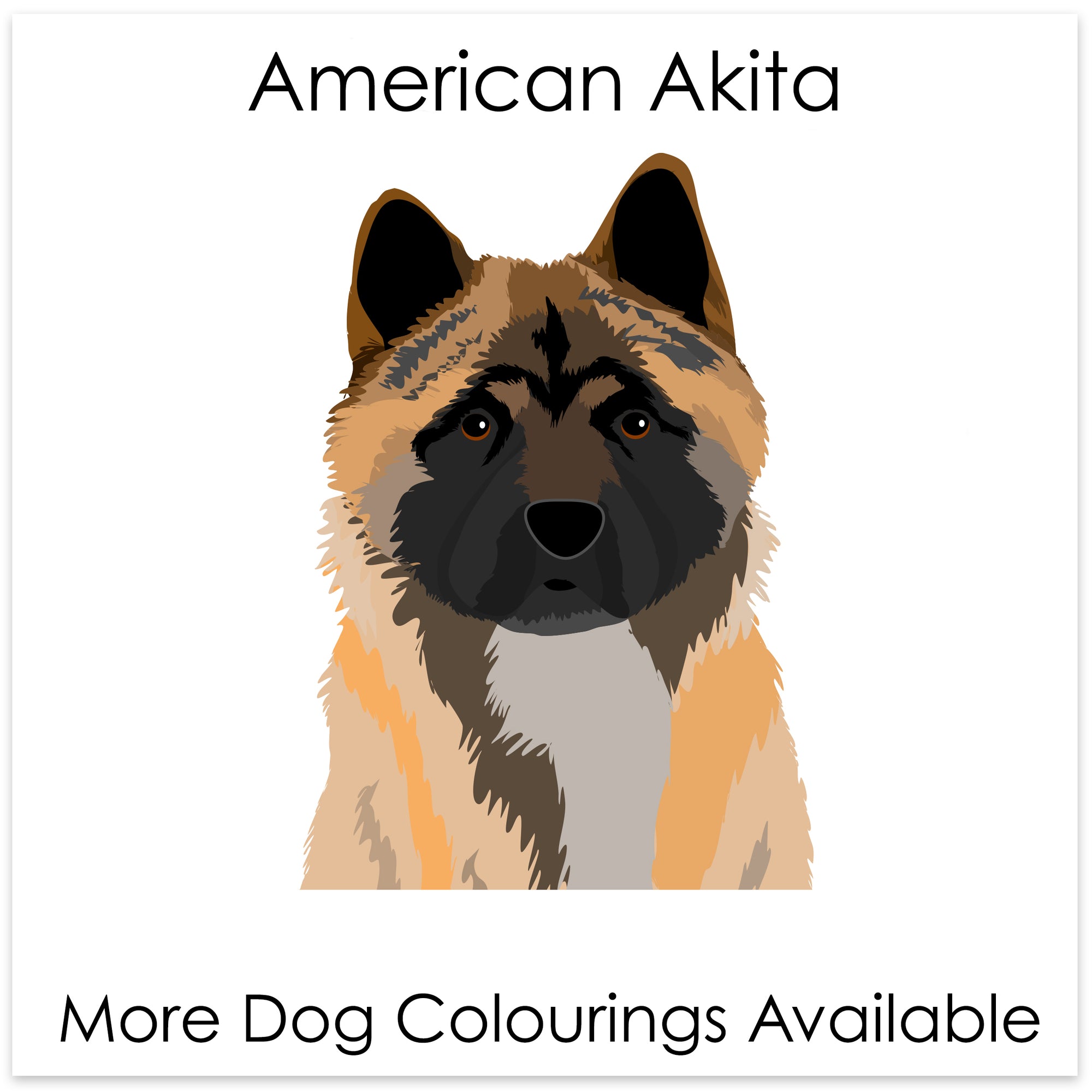 
    American Akita
  