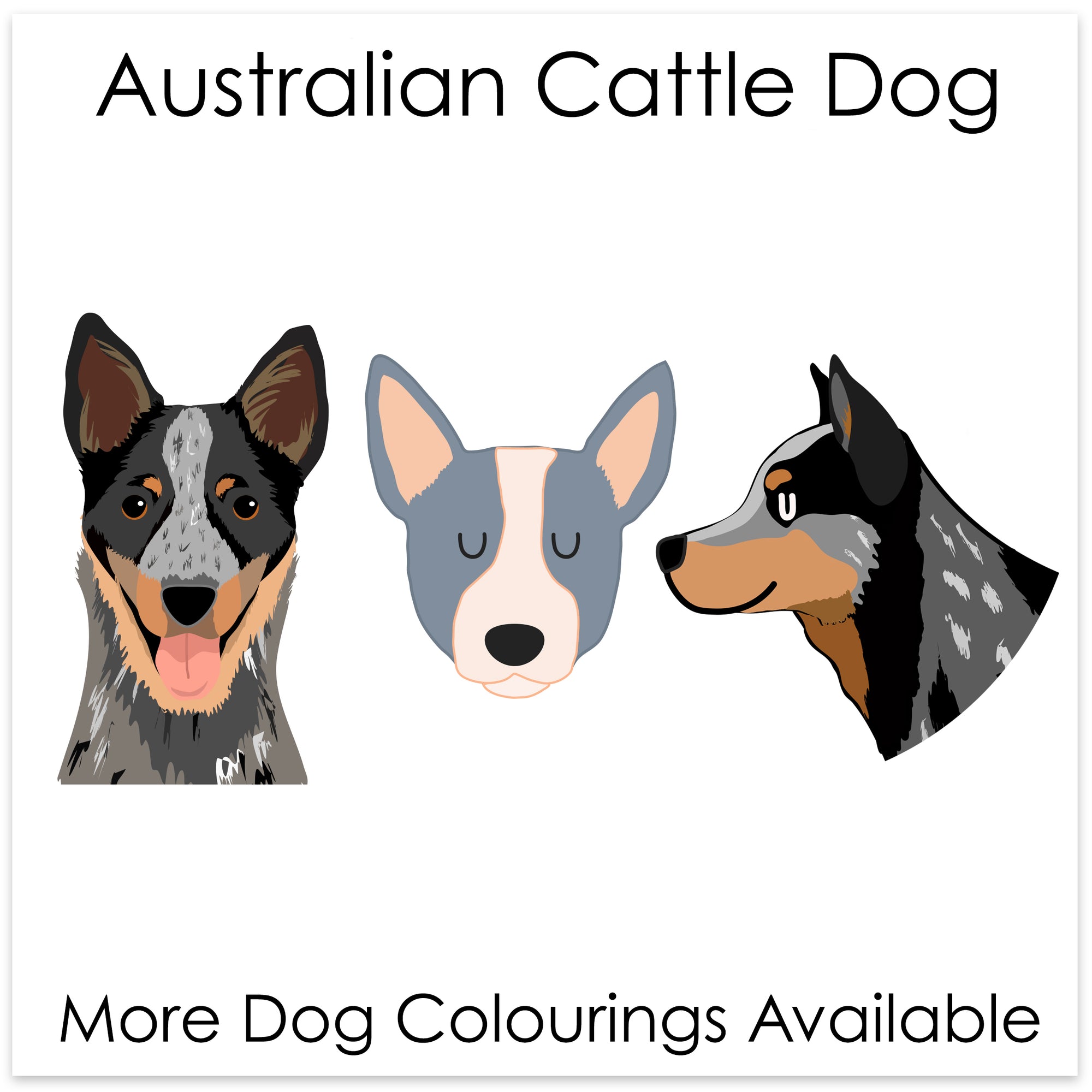 
    Australian Cattle Dog
  